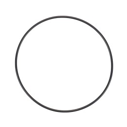 Sealing ring on flange 14455780