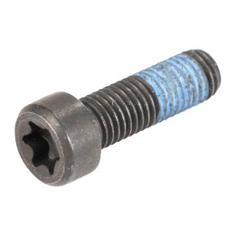 Flywheel bolt 55282219