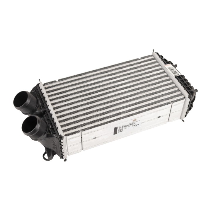 Intercooler 9825341380