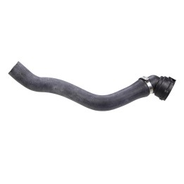 Lower radiator hose 15796A
