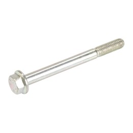 Screw 16297821