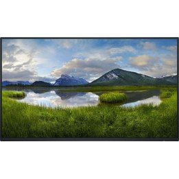 DELL P2425H 24-inch Full HD monitor black