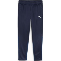 PUMA teamGOAL Herren Blau Polyester