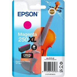 Epson singlepack magenta 250xl ink