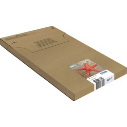 EPSON 1LB Multipack 3-colours 603 EasyMail