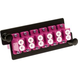Placa adaptadora 6xLC dúplex (12F) OM4