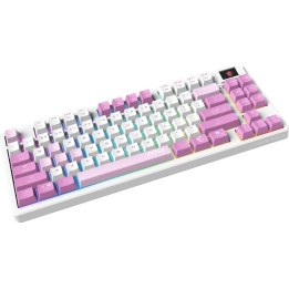 Clavier gaming MSI FORGE GK600 TKL W Violet, version commerciale