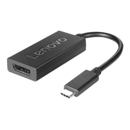 LENOVO 4X90L66916 USB-Grafikadapter Schwarz