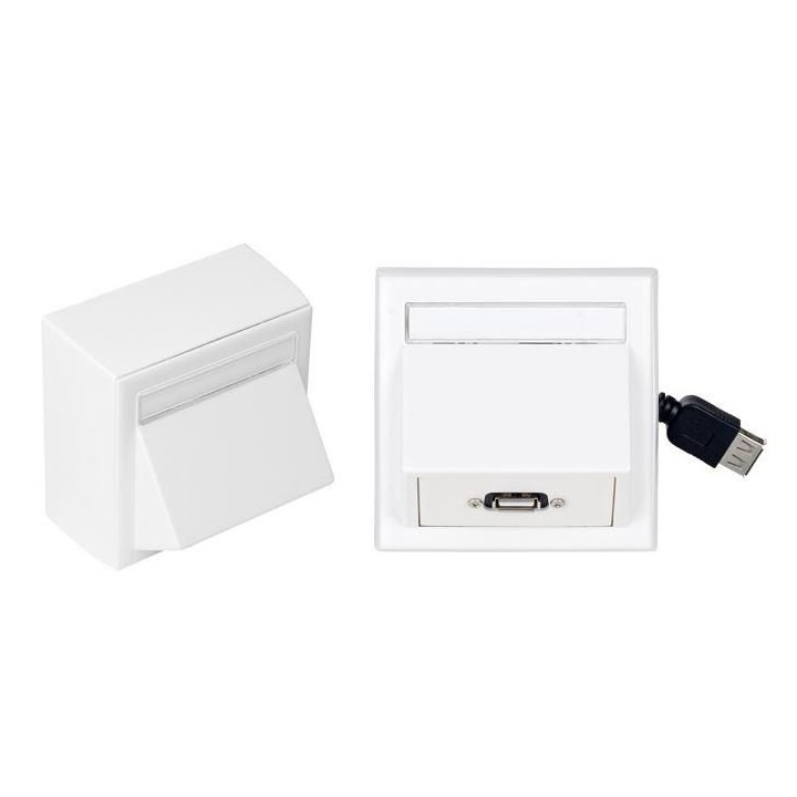 VivoLink WI231275 wall connection box USB 2.0 white