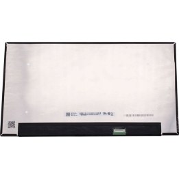 HP M75610-001 Ecrã LED antirreflexo Full HD 15,6 polegadas