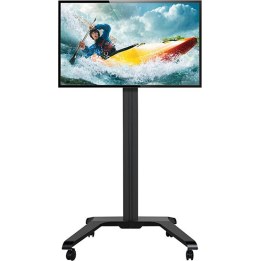 Universal Flat Screen Trolley