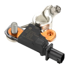 Batteriepolklemme mit Sensor 53322241
