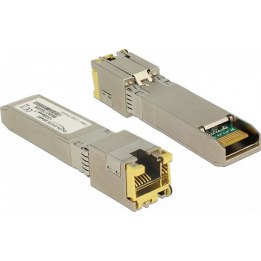 Module DELOCK SFP+ 10GBase-T RJ45