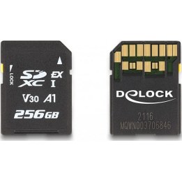 Carte mémoire SD Express 256 Go