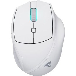 Sharkoon OfficePal M25W (branco)