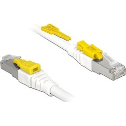 Kabel RJ45 Secure Cat.6A 3 m