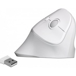 Mouse USB ergonomico verticale - wireless