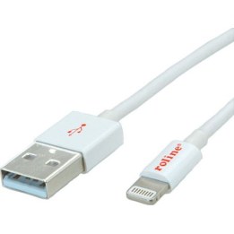 ROLINE 8PIN/USB LADE-/SYNCHROKABEL