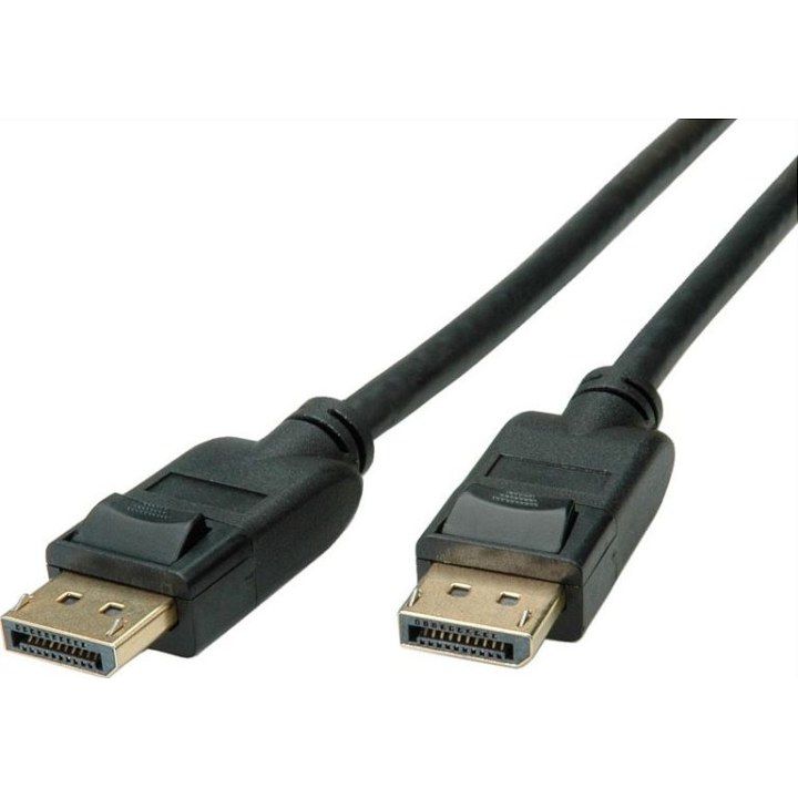ROLINE DP V1.4 CABLE DE 2 M
