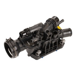 Thermostat 9812113780
