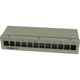 12xTP patch panel, CAT6A, incl. large Keystone, surface-mounted metal, light grey, Synergy 21,