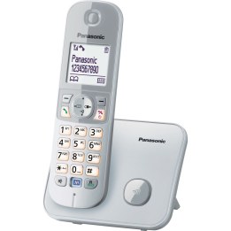 KX-TG6811GS plata perla DECT