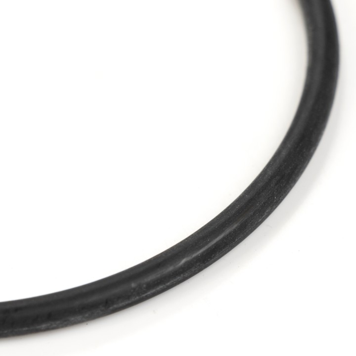 O-ring 55185954
