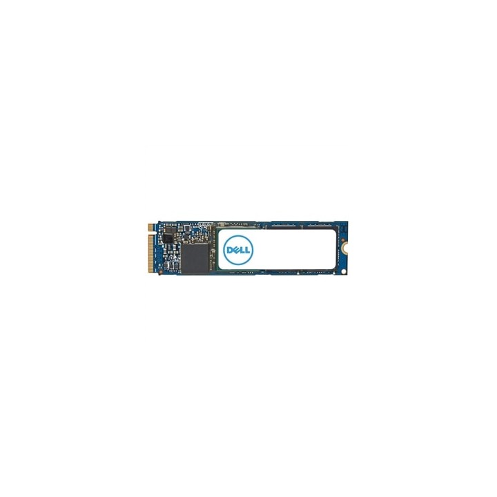 DELL AC037409 1 TB M.2 PCI Express 4.0 NVMe