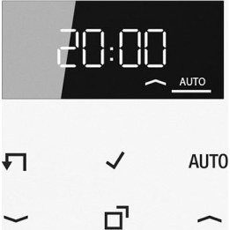 Jung LS1750DWW Timer Standardm.Display