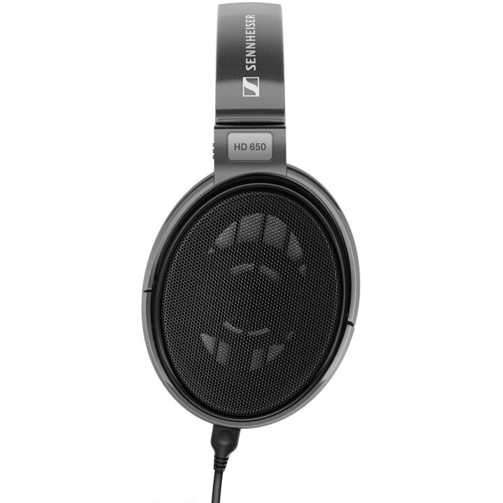 Sennheiser HD 650 auriculares negro, gris
