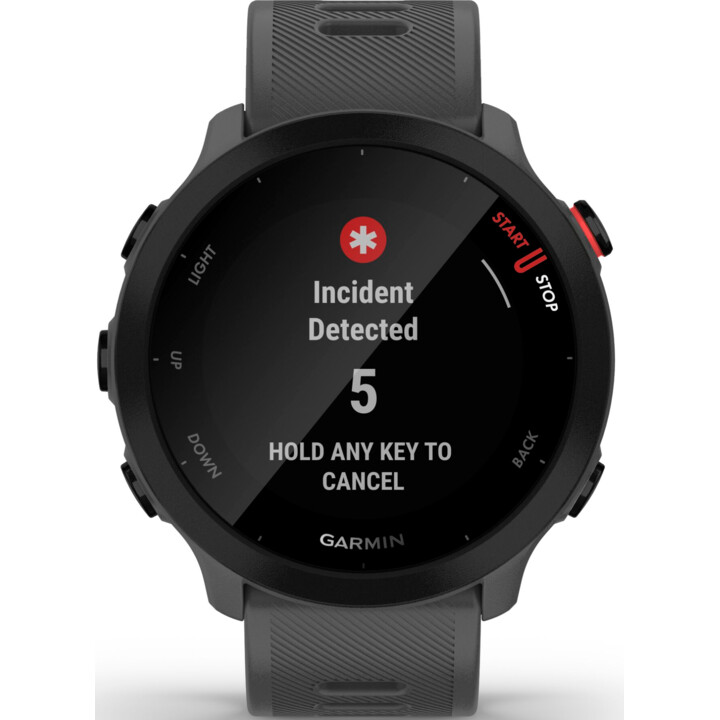 Garmin Forerunner 55 Monterra Gris