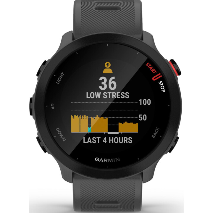 Garmin Forerunner 55 Monterra Grigio
