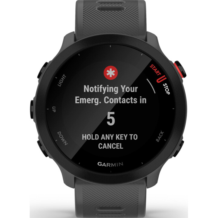 Garmin Forerunner 55 Monterra Grau