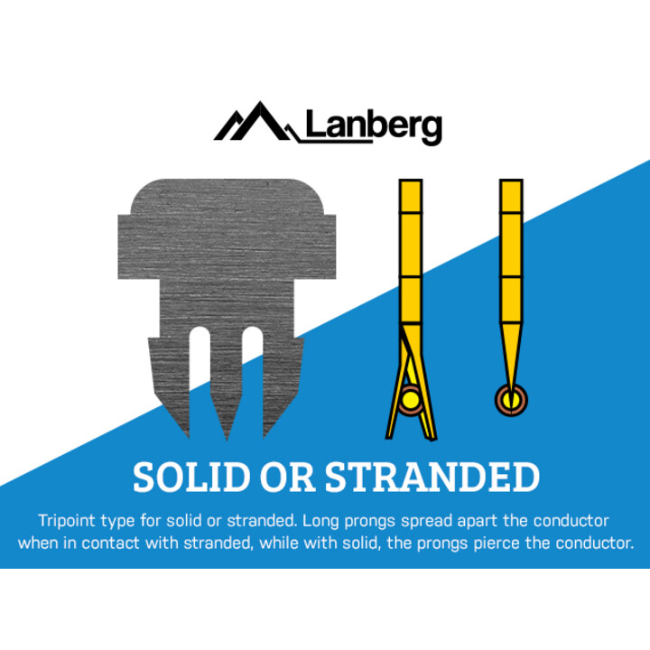 Lanberg PLS-6000 connecteur de fils RJ-45 Acier inoxydable, Transparent