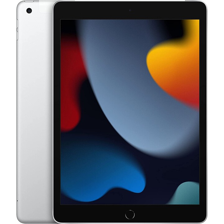 Apple iPad 256GB WiFi Silver