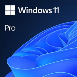 Microsoft Windows 11 Pro 64 bit spagnolo (FQC-10552)