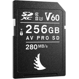 UHS II 256 GB SDXC V60 Memory Card for Recording Full HD, 4K+ and RAW Video/Photo *New