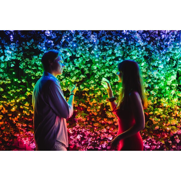 TWINKLY Strings 250 (TWS250STP-BEU) Luces inteligentes para el árbol de Navidad 250 LED RGB 20 m