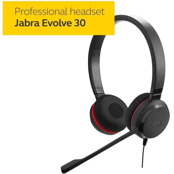Jabra Evolve 30 II Duo USB Schwarz