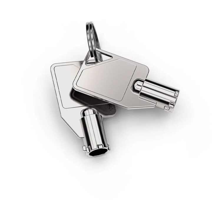 Dual Head Coiled Cable Keyed Lock - Black