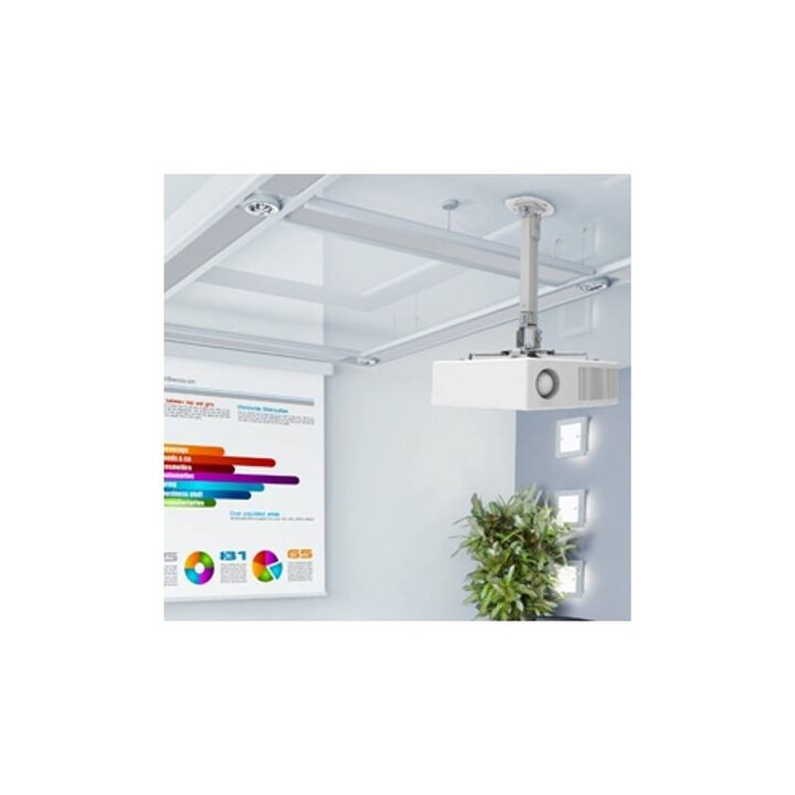 Techly ICA-PM 18M projector mount Ceiling Silver