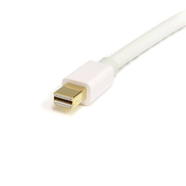 Cable Adaptateur Startech 2M Mini Ecran D'Affichage