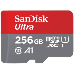 SanDisk Ultra R100 microSDXC 256GB Kit, UHS-I, Class 10
