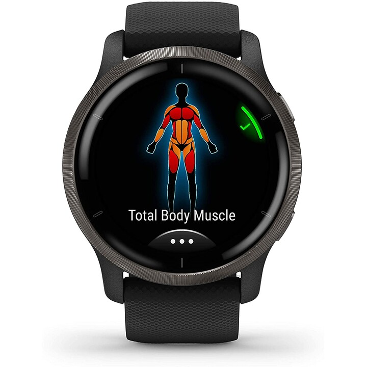 Garmin Venu 2 GPS Noir Ardoise