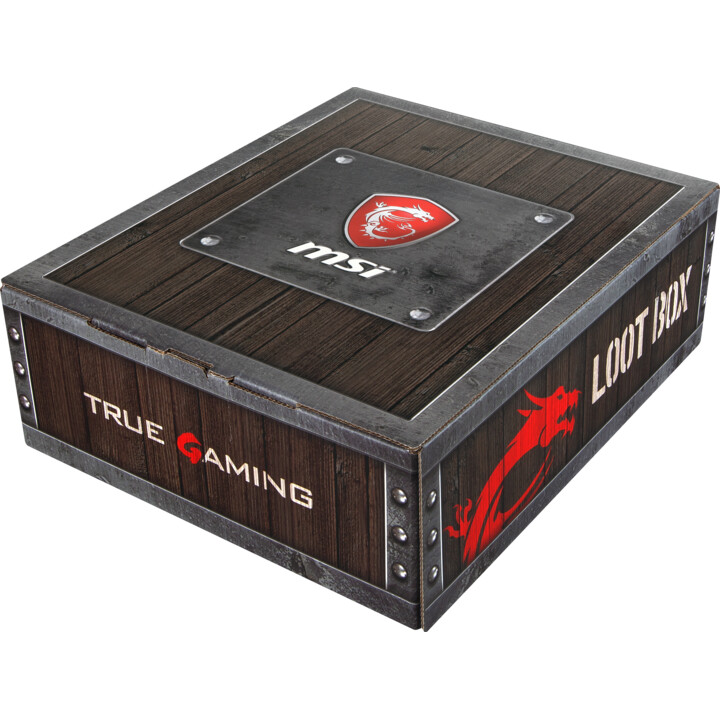 PACK MOUSE MSI BOTTINO BOX GP