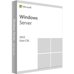 MICROSOFT WINDOWS SERVER 2022 10 CAL UTENTE SOLO SERVER HP
