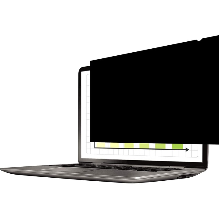 FILTRE DE CONFIDENTIALITÉ FELLOWES POUR ÉCRAN 15,6 "16: 9