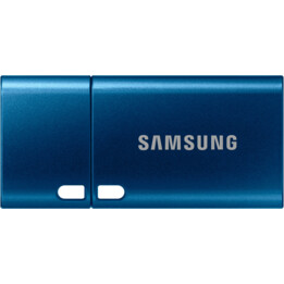 SAMSUNG MUF-256DA USB FLASH DRIVE 256 GB USB TYPE-C 3.2 GEN 1 (3.1 Gen 1) BLUE