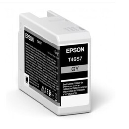 Epson UltraChrome Pro Druckerpatrone 1 Stück(e) Original Standardertrag Grau