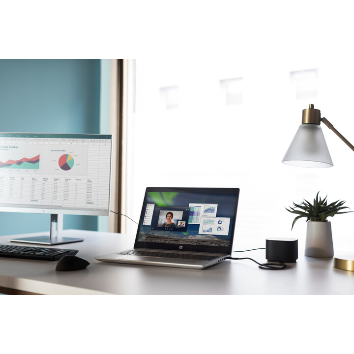 HP USB Mouse with Fingerprint Reader